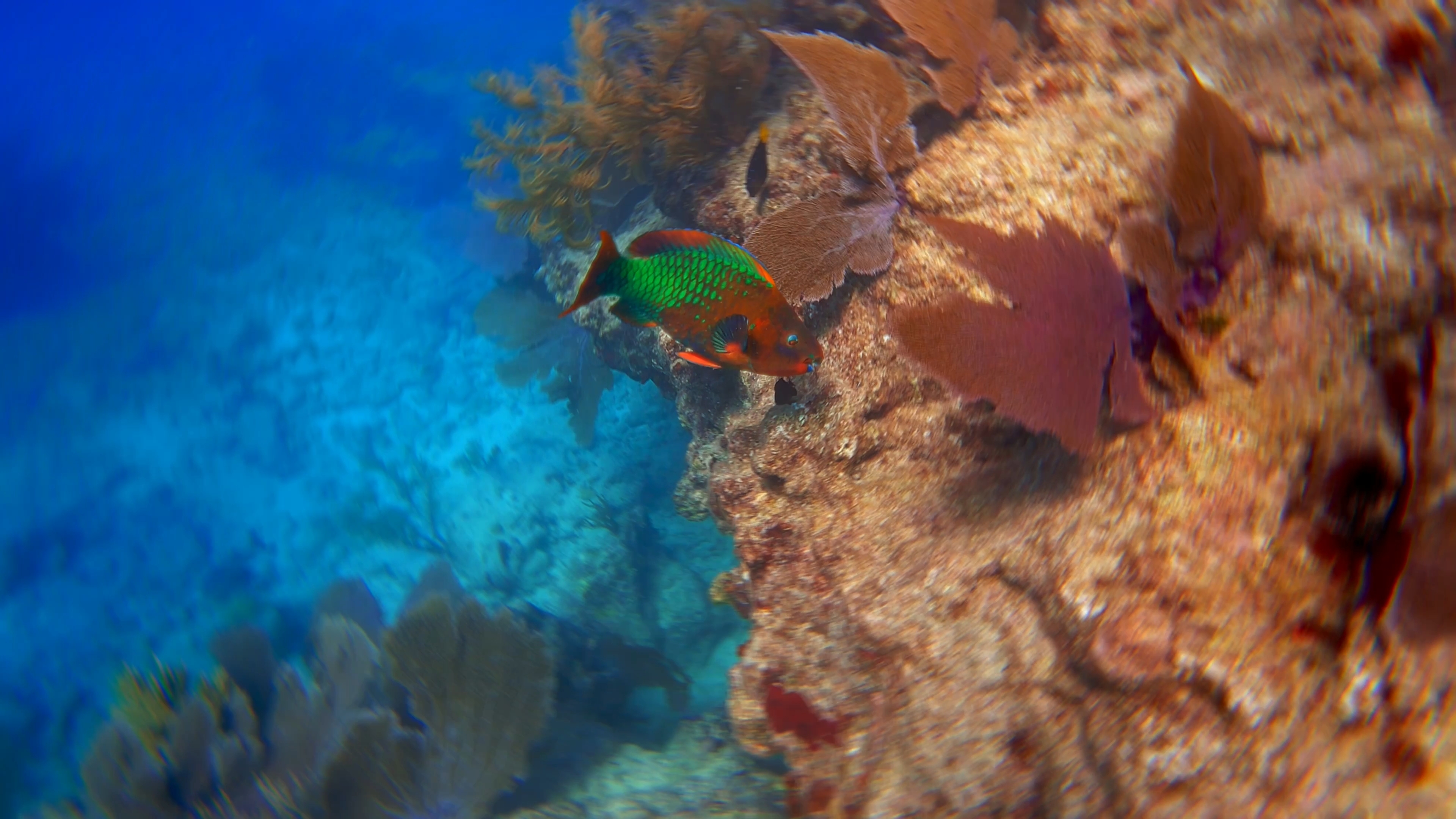 Underwater Work — Freediving