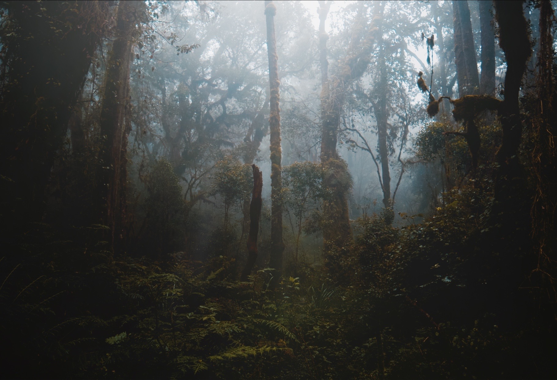 Kilimanjaro — Tanzania